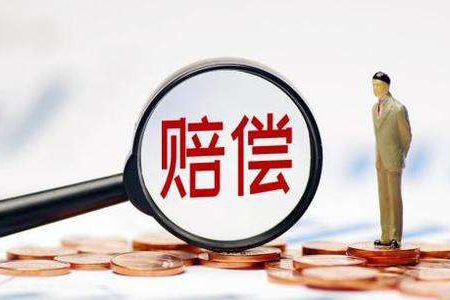 赔偿新规