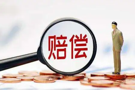 赔偿新规