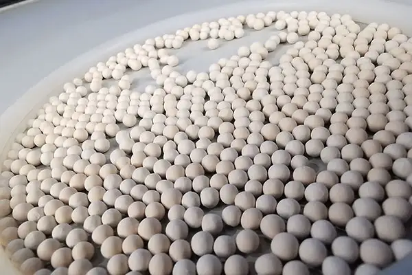 沸石分子