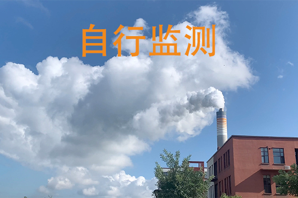 自行监测