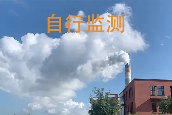 自行监测